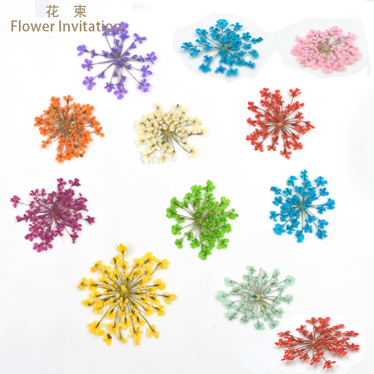Branch Lace DIY Handmade Embossing Crystal Drop Filling Flower Snow Ball