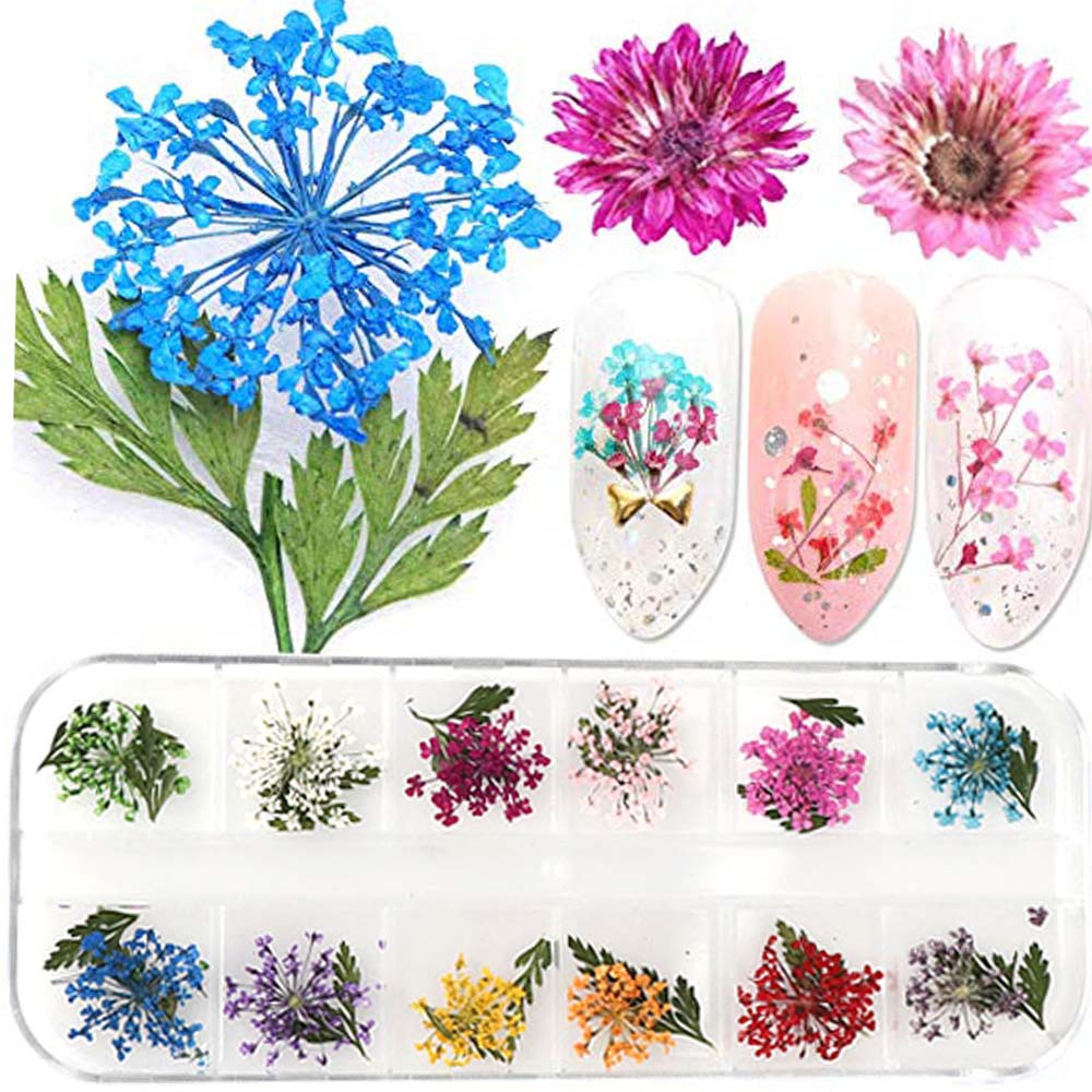 Nail Accessories 12 Box Nail Dry Flower Ornaments 6 Kinds of DIY Dry Flowers