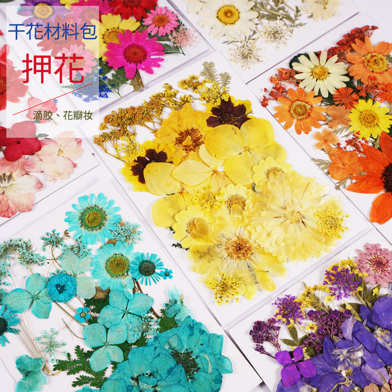 Dry Flower DIY Flower Bag Bookmark Embossing Bag Embossing Painting Material Real Flower Drop Glue Dry Leaf