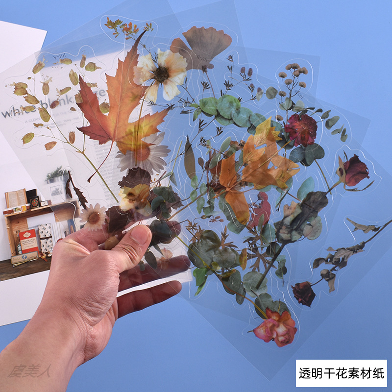DIY Gutta Percha a Variety of Simulation Transparent Dry Flower Filling Decoration Materials Paper Hand Ledger Wholesale Spot