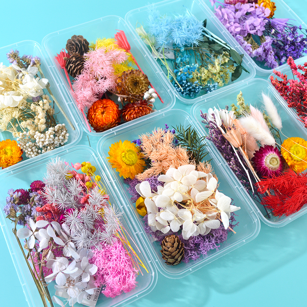 Hot Sell Pressed Dry Flowers Naturl Mixed Random Dried Flower For DIY Epoxy Resin Craft Nail Art Materials